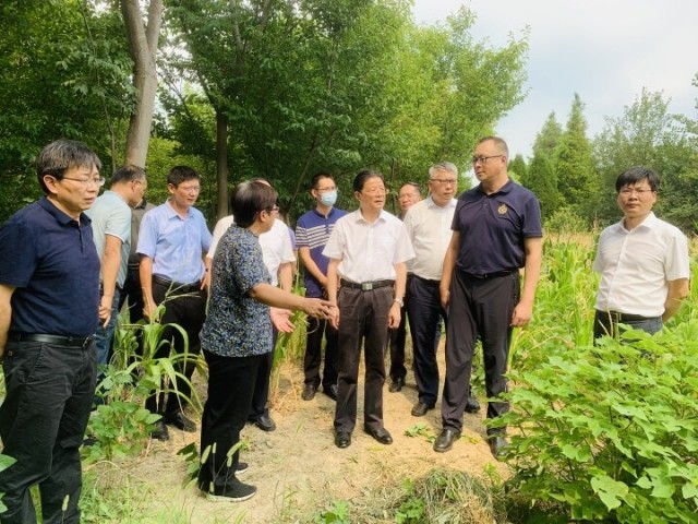 8.9提升交界河道水体质量1.jpg
