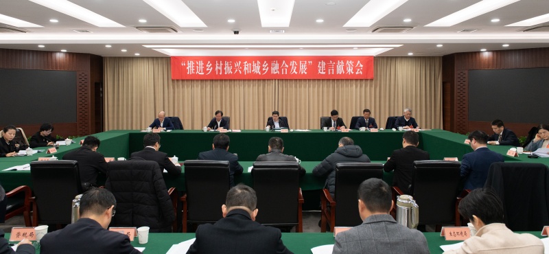 建言献策4 乡村振兴.jpg